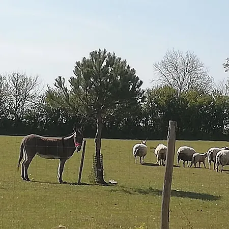 Meublé Indépendant à La Campagne Apartamento